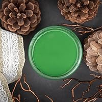 Vista 310 de Dixie Belle Paint Company - Pintura con acabado de tiza para muebles, color blanco lino (Drop Cloth), 8 fl oz, pintura mineral color blanco lino mate