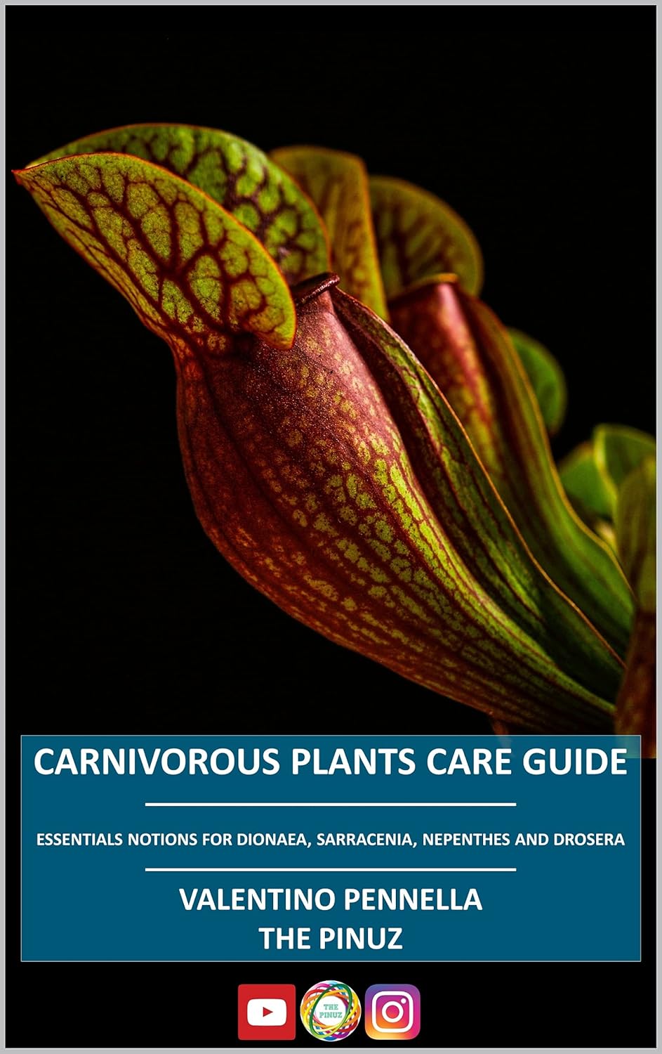 Amazon CARNIVOROUS PLANTS CARE GUIDE Essential notions for Dionaea
