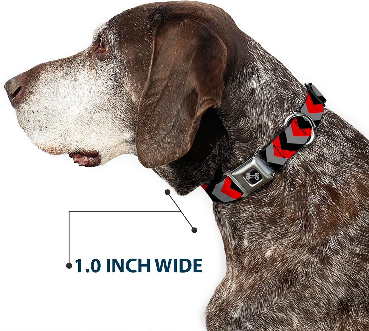 Buckle-Down 16-23" Chevron Red/Black/Gray Dog Collar Bone, Wide Medium