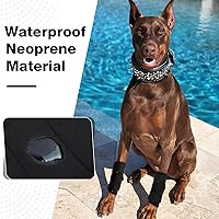 Vista 6 de ROZKITCH Protector de patas de perro para articulación trasera de corvejón o rodilla de pierna delantera, 1 par de mangas de compresión de piernas