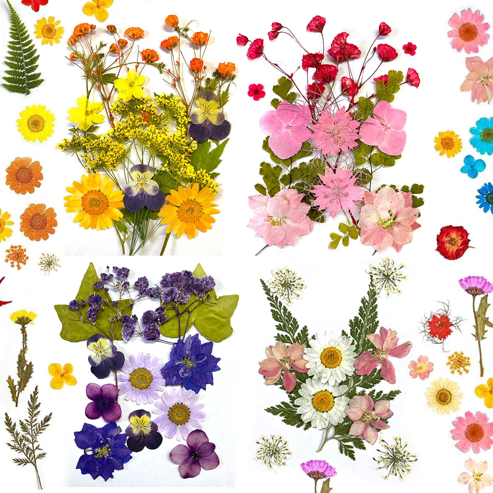 Pressed Dried Flowers,60 Pcs Colorful Dried Pressed Flowers for Crafts,Pressed Flowers for Resin,Real Dried Pressed Flowers,Mixed Multiple Natural Flowers Leaves,for Crafts Making Floral DIY