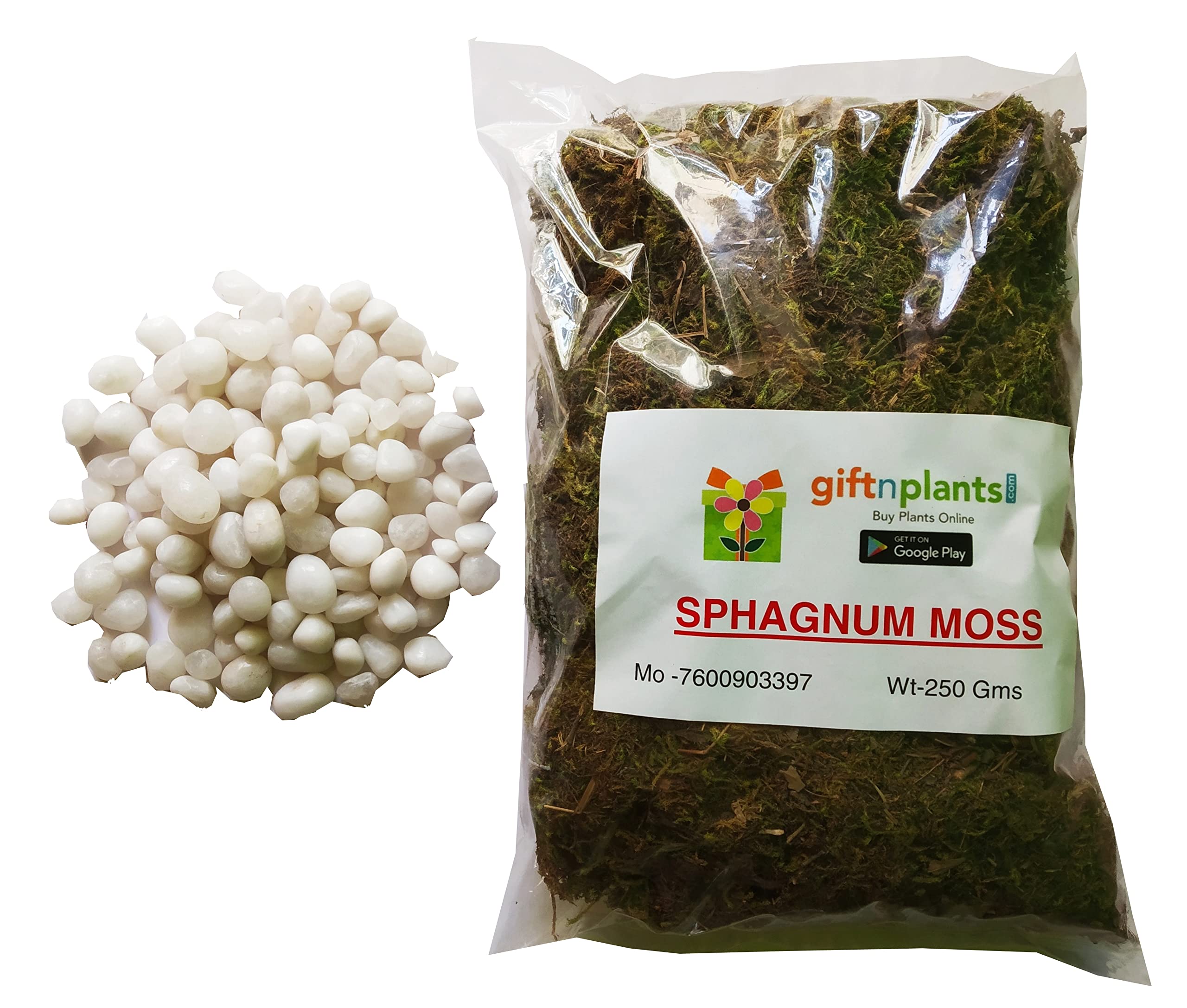 GIFTnPLANTS White Double Polished Stones or Pebbles Small Sized (07-14 mm)- 650 Grams for Garden Plants with Free Sphagnum Moss (Wt-250 Grams) for Landscaping and Aquarium (B083V7K31W) Amazon Price History, Amazon Price Tracker