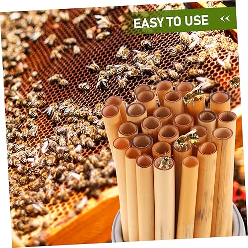 Miniatura 3 de BESPORTBLE 50 Uds. Herramientas de apicultura de tubo de abeja, herramientas de mantenimiento de abejas, accesorios de colmena, pajitas de repuesto