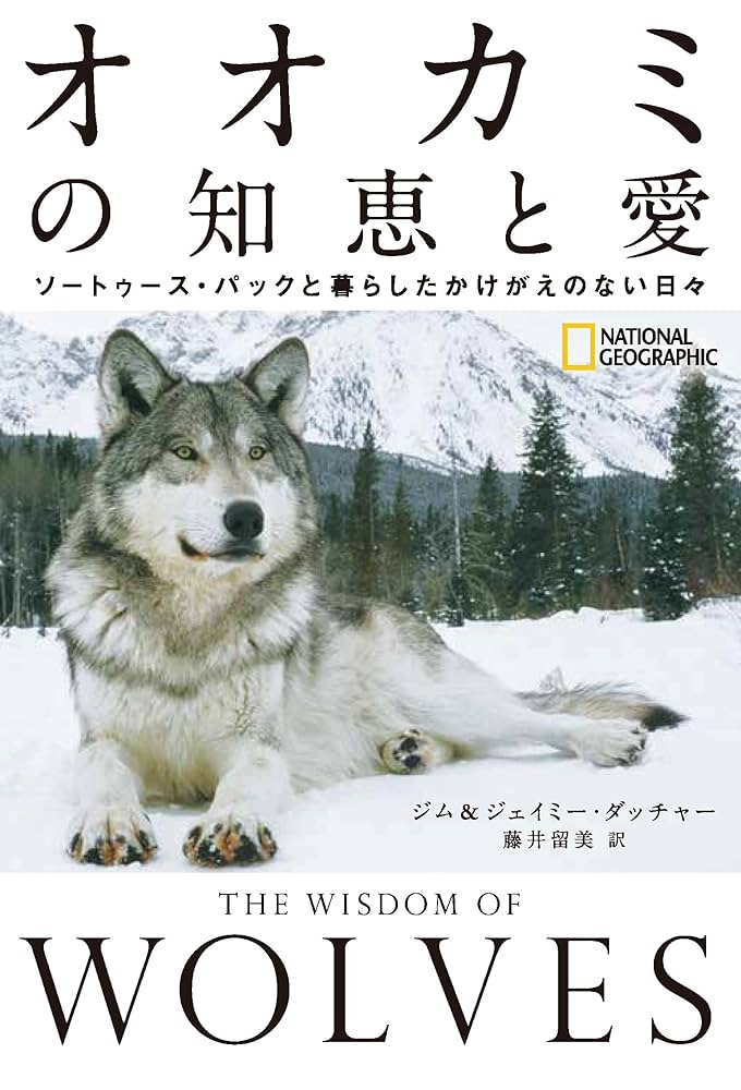 オオカミに関する書籍 オオカミの知恵と愛 ソートゥース・パックと暮らしたかけがえの