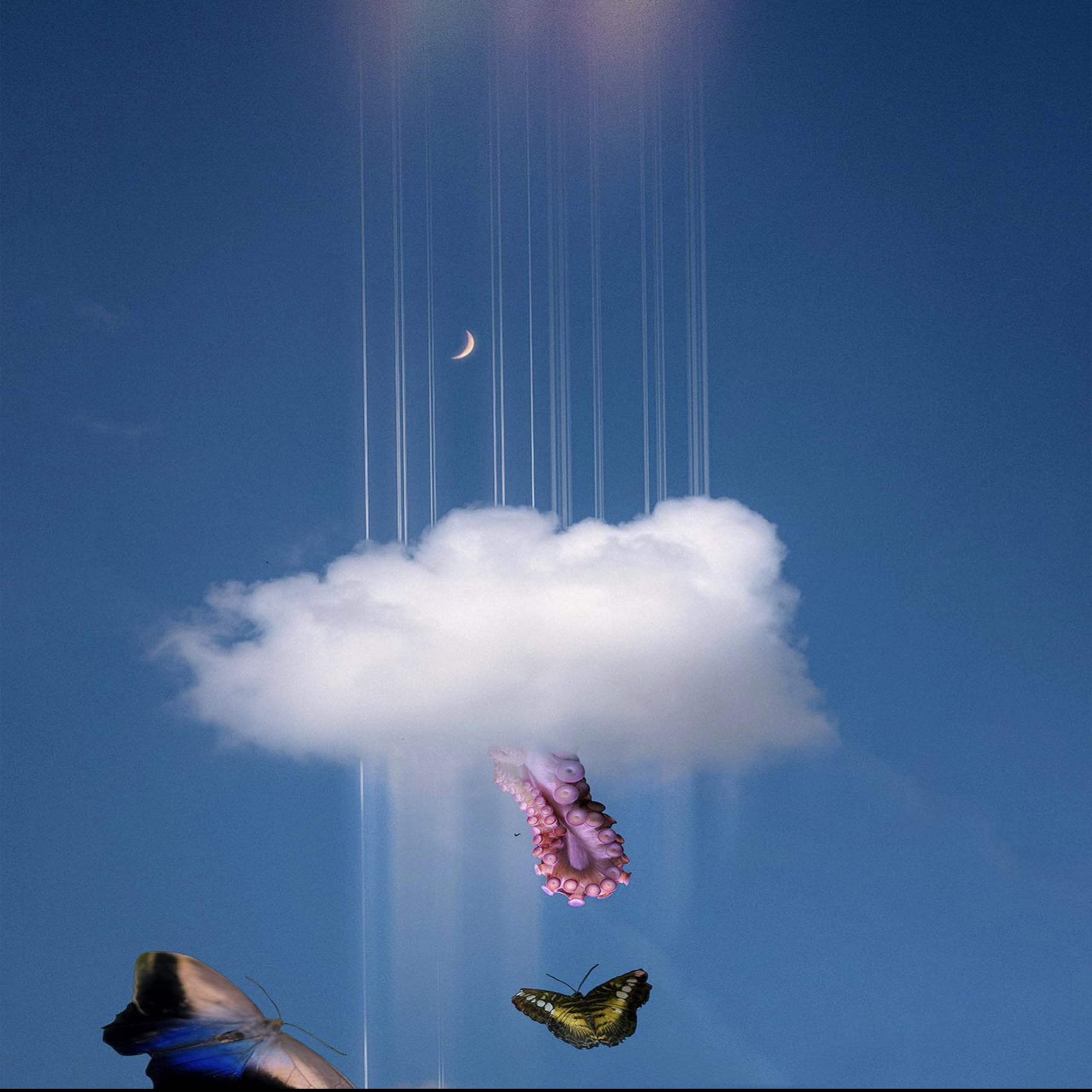 Everybody Loves Josh