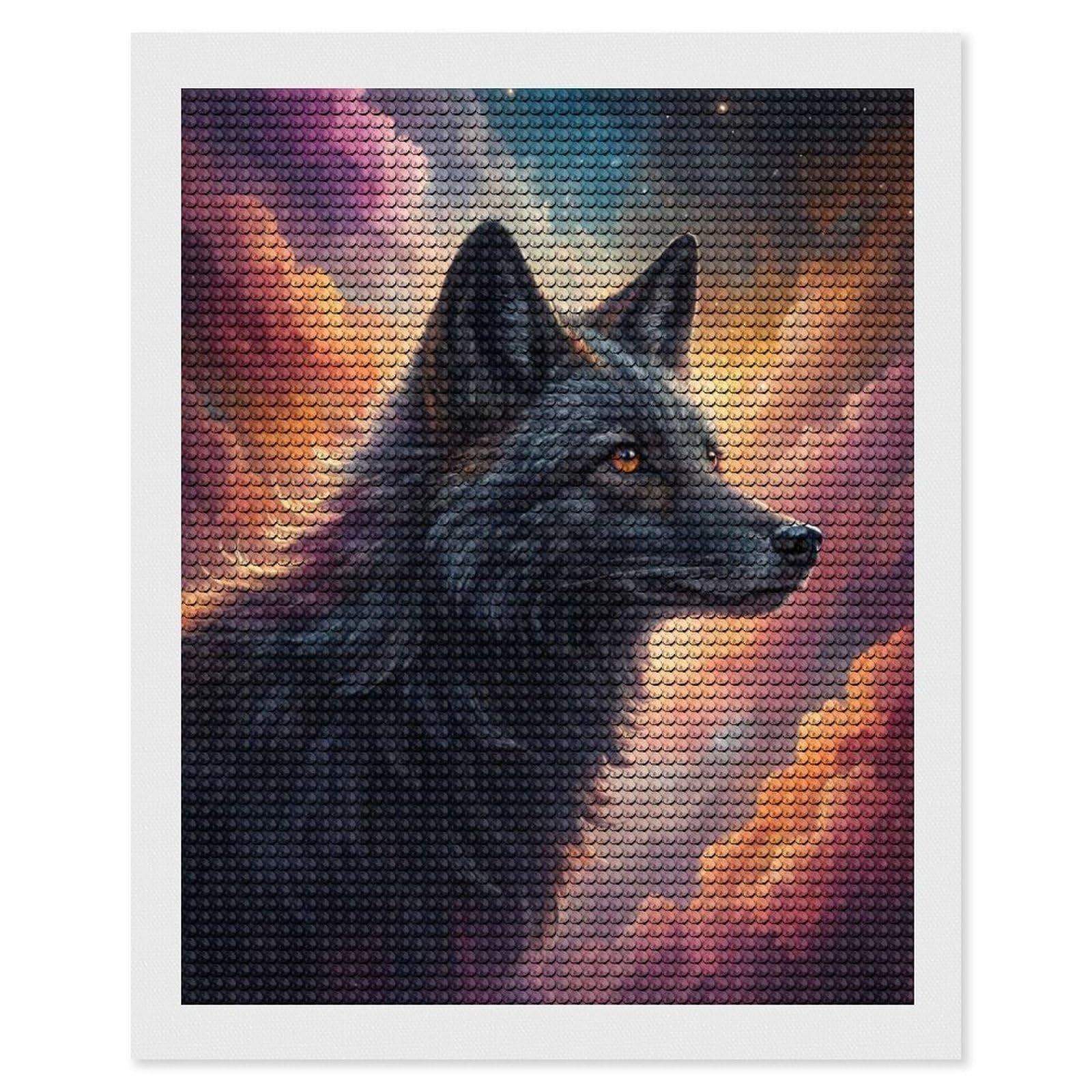 Junmoney Black Wolf in Cosmic Clouds DIY Diamond Art Canvas Kit 16"x20", for Adults, Decorate Your Room, Gift Idea, Modern Decor, Finish and Display