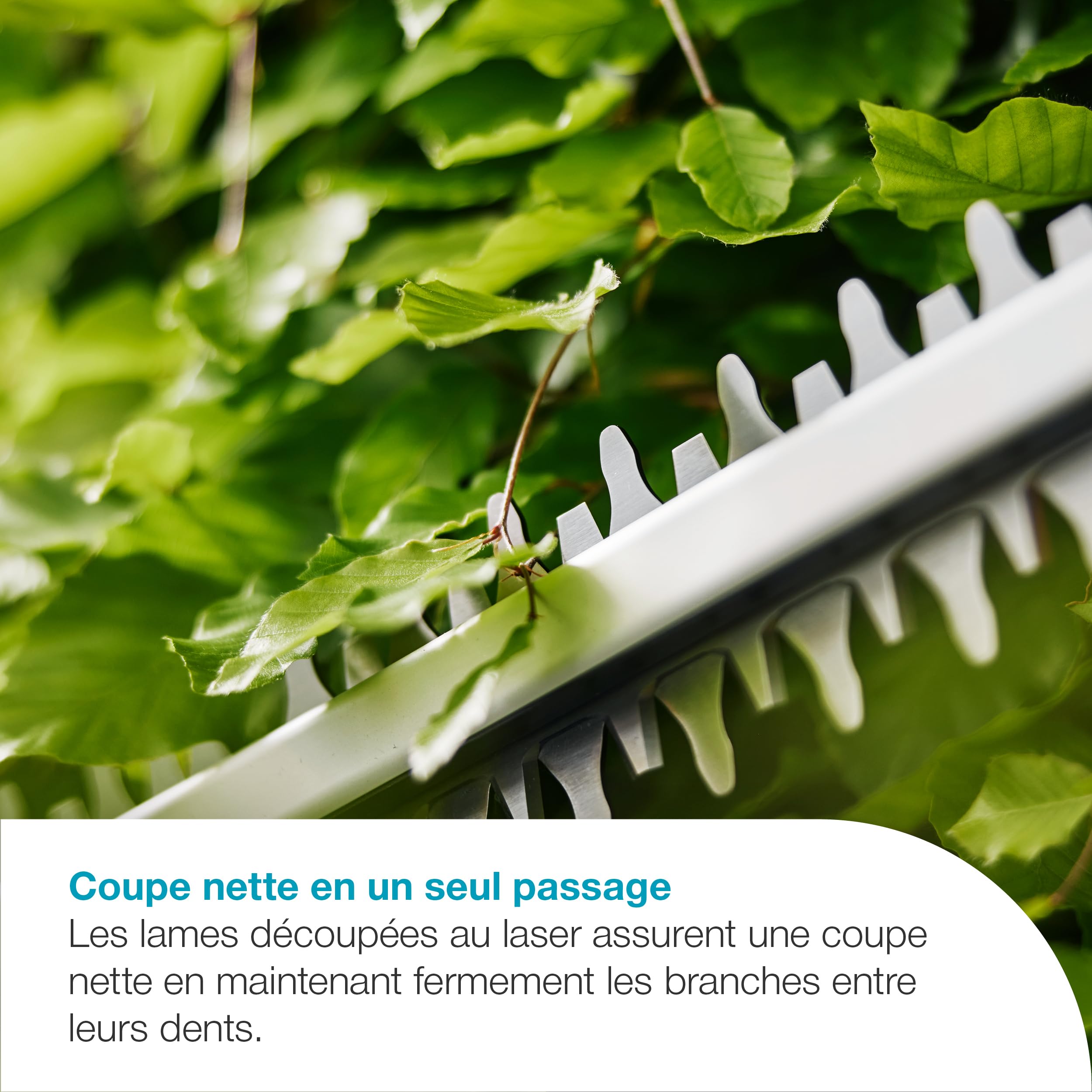 Gardena Taille-Haies EasyCut 55-18V P4A Kit Taille-haie: Lames Double Action, Protecteur de Pointe de Lame, Poignée Ergonomique, Rangement Facile, Coupe sans Fil (14735-20)