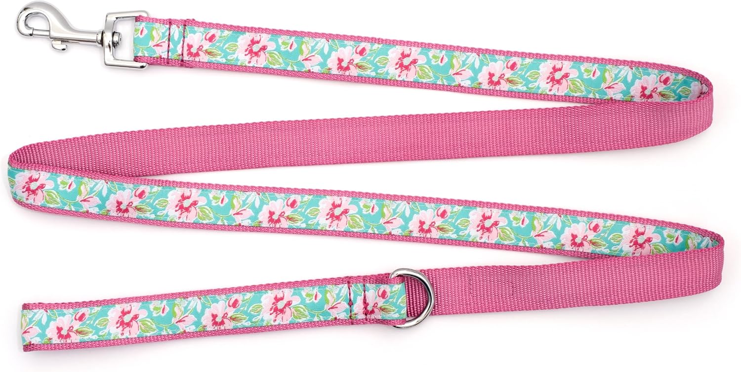 THE WORTHY DOG 5 FT Nylon Dog Leash for Medium to Large Dogs, Metal Quick Clip, Watercolor Floral Pattern, Teal, Large