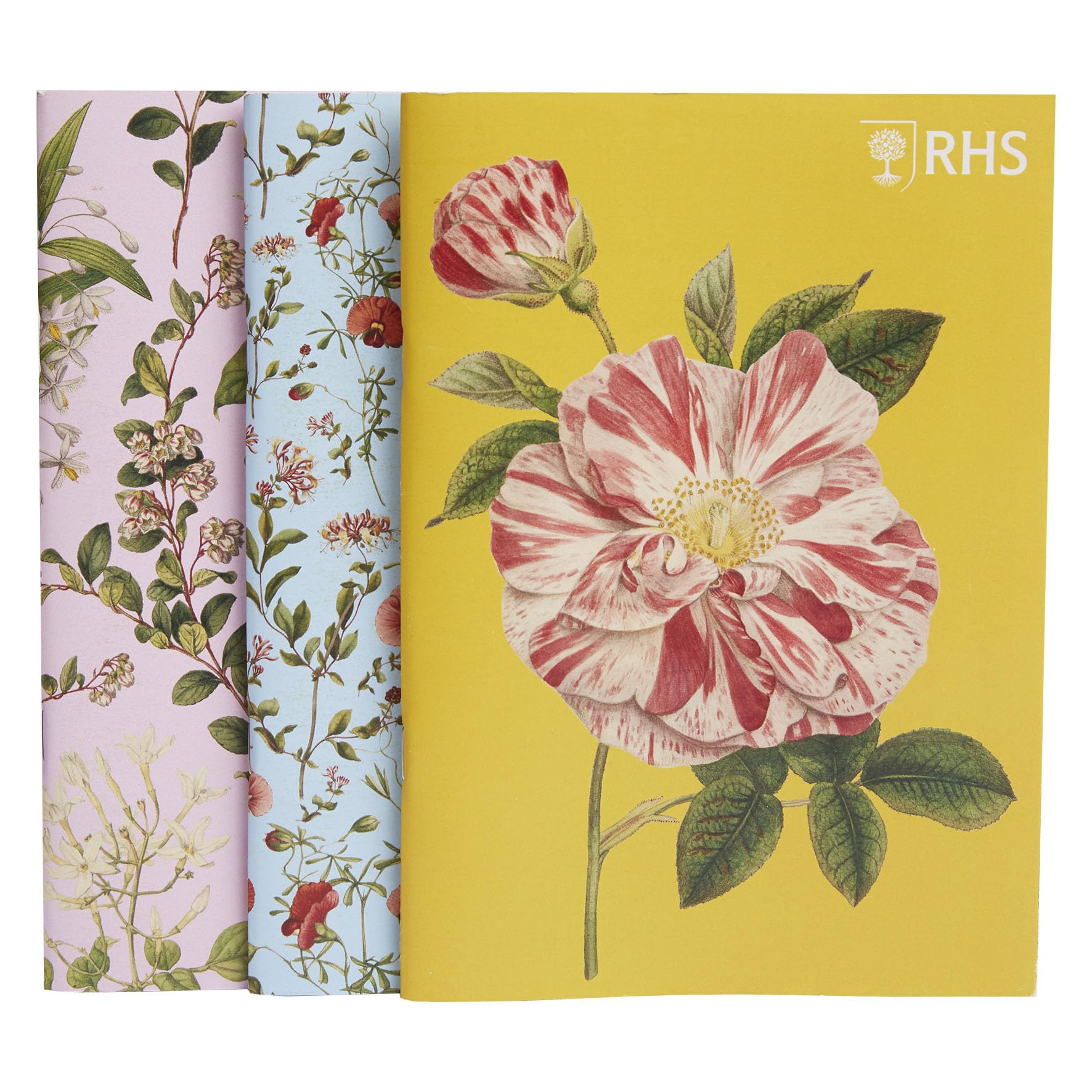 Rhs Edwards The Royal Horticultural Society 40 Page Stapled Sketchbook (100Gsm), A5 Pack Of 3, Multicoloured, Designs From The Lindley Collections By Sydenham Teast