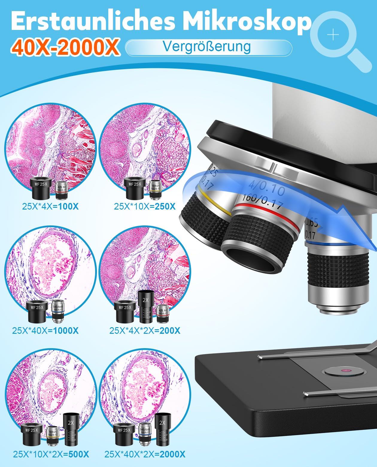 40X-2000X Mikroskop für Kinder Schüler Erwachsene: Biologie Monokulares Mikroskop für Labor, Zuhause und Schule - Microscope mit Koffer, Objektträgern, Telefonhalter - Geschenk für Kinder AB 6