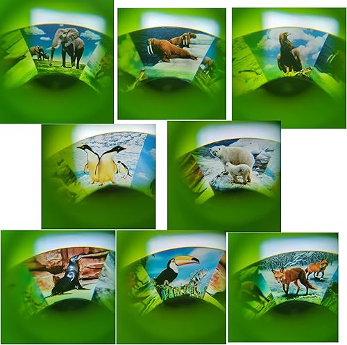 Miniatura 5 de Juego de juguetes de cámara con temática de animales para niños (paquete de 3) cámaras coloridas con 8 imágenes de animales salvajes (3 piezas)