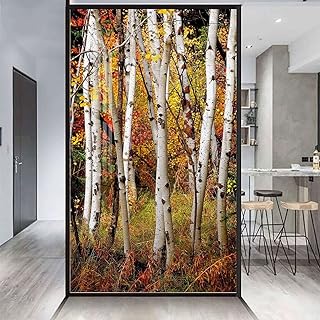 Multicolor Self-Adhesive Privacy Glass Window Film White Fall Birch Trees with Autumn Leaves Window Film for Privacy and Light Protection Fall Decor 31.5Wx62.9L-inch
