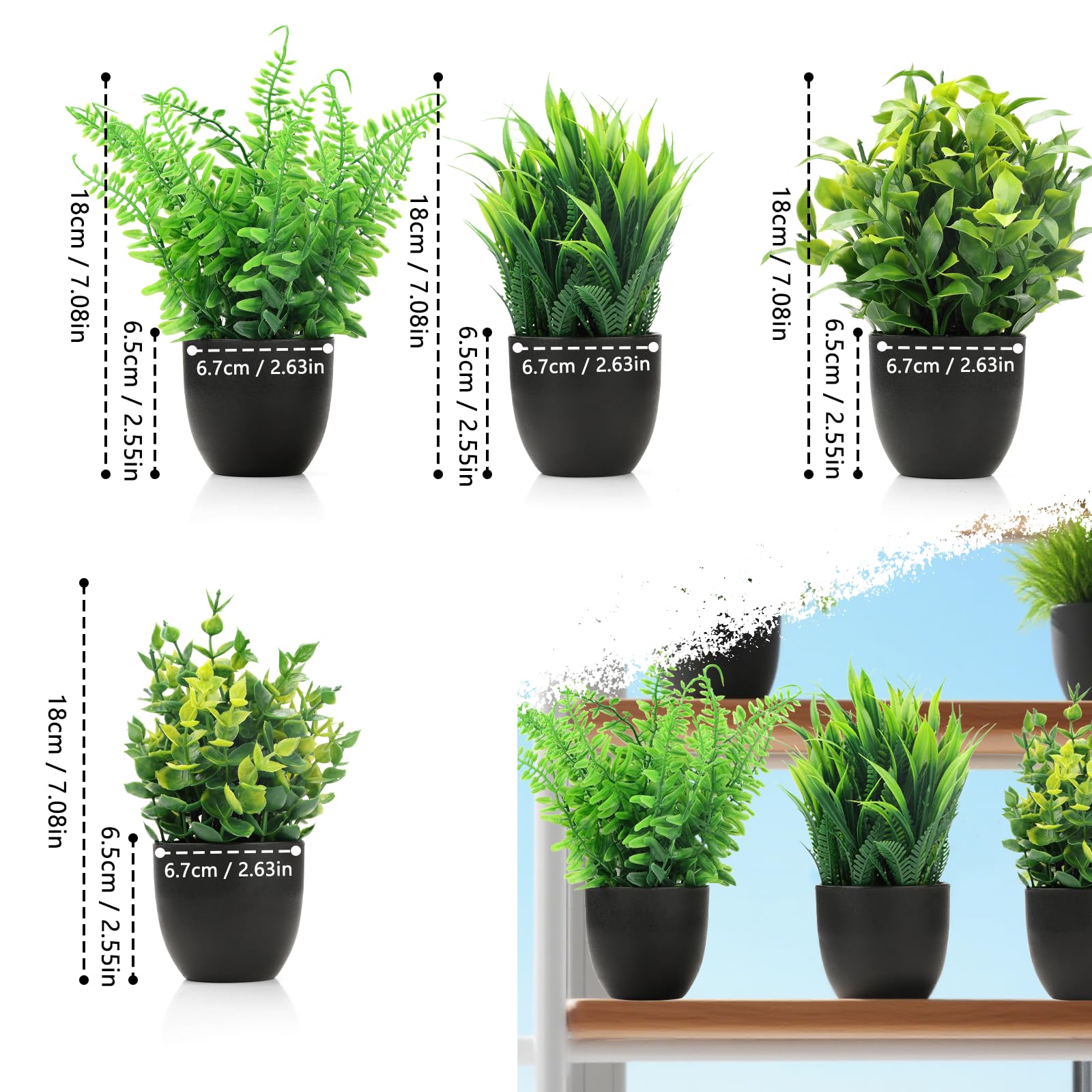 topfpflanze palmenartig Cycas Revoluta ca. 100 cm – Palmfarn Sagopalme Zimmerpalme Exotische  Grünpflanze