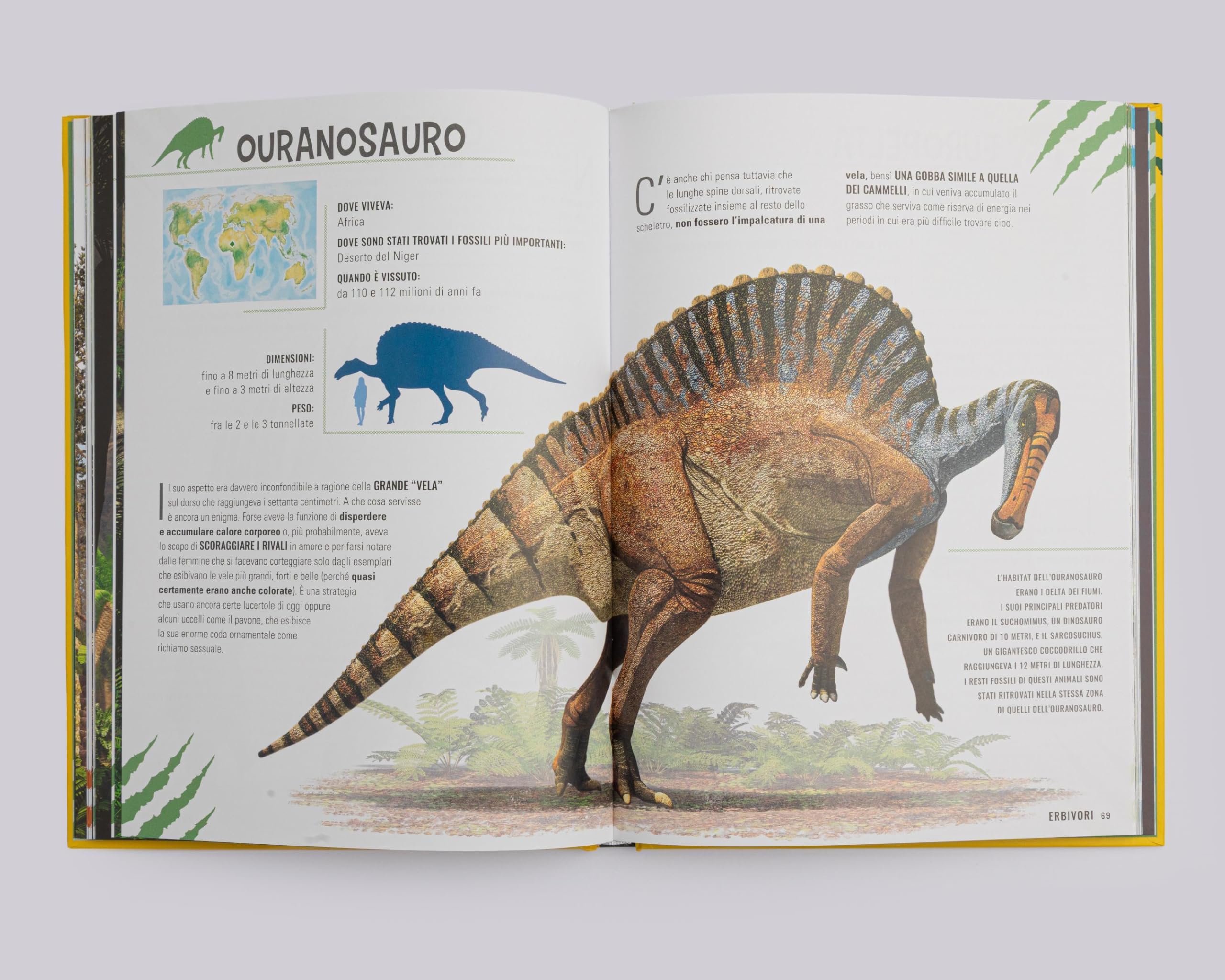 Dinomania. Ediz. a colori