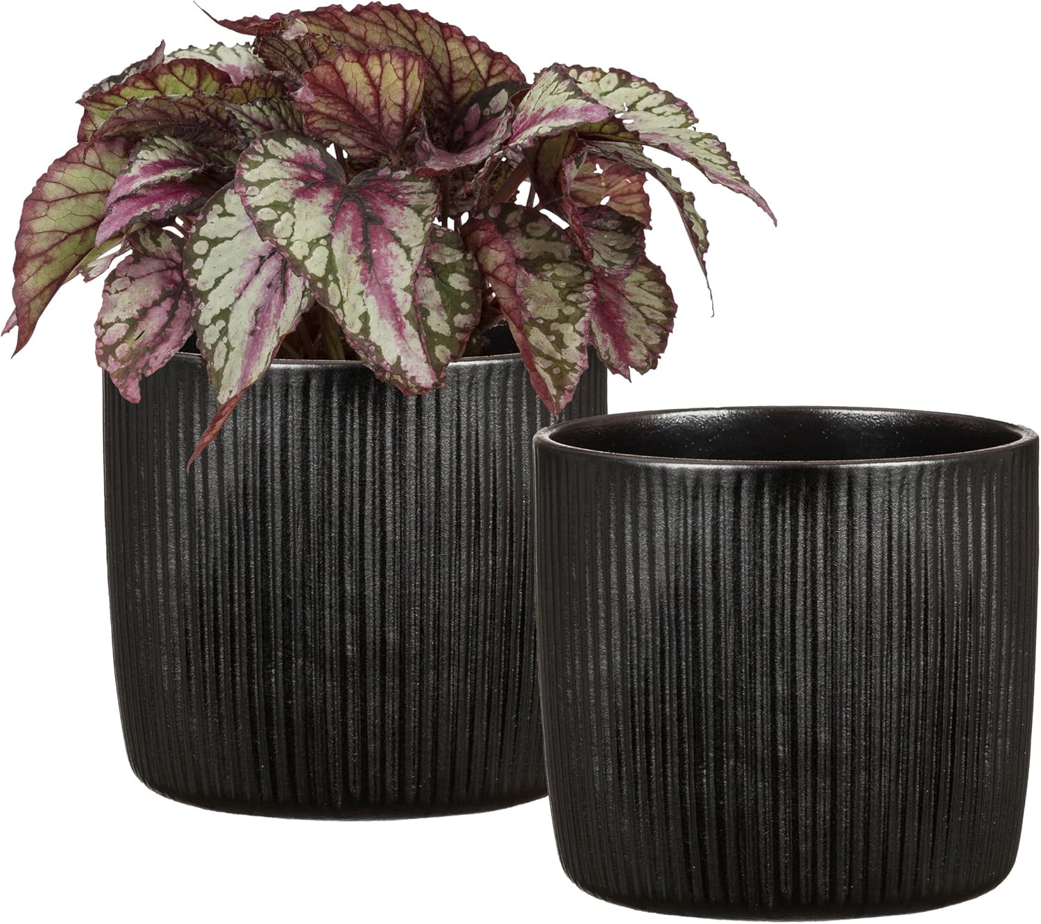 SCHEURICH Set of 2 Solido Linea Lagoon Ceramic Planters – 5.9" Decorative Pots for Indoor Plants - Waterproof&UV-Resistant - Elegant Relief Texture - Made in Germany, Modern Home&Office Decor - 0.5 gl