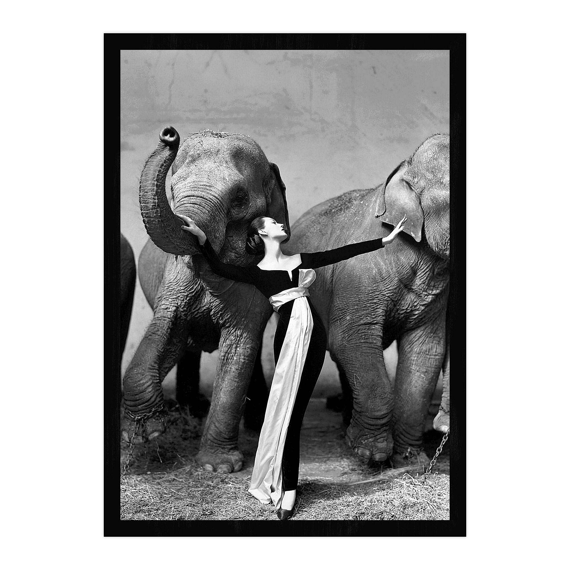 Poster of Richard Avedon artwork - Dovima with elephant print