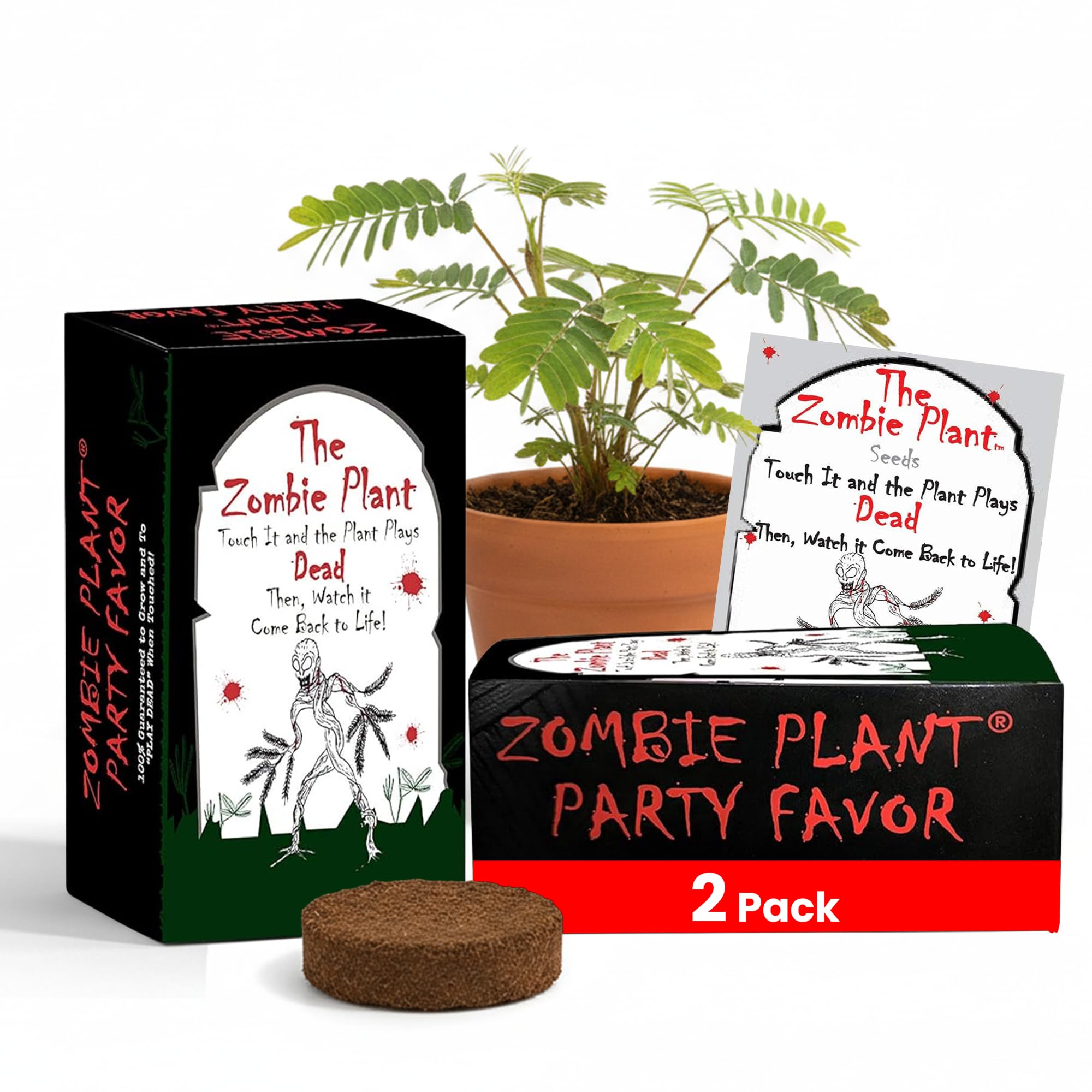 Zombie Plant Party Favors (2) Plays Dead When Touched! Includes Soil, Seeds & Mini Flower Pot. Supplies for Zombie Themed Birthday. Plant it as a Fun Indoor Science Activity