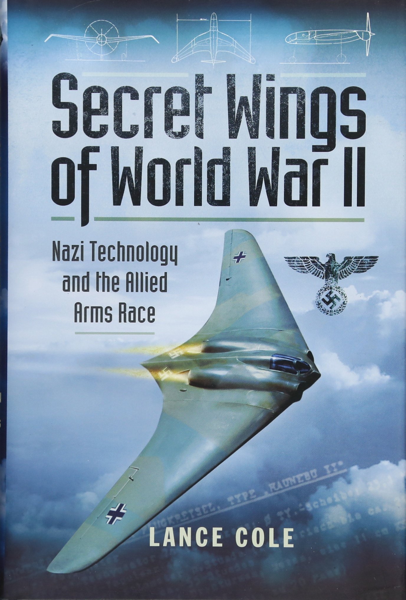 Buy Secret Wings of WWII — BookShops.in