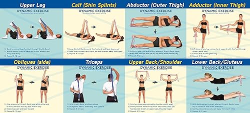 Vista 11 de Pro-Tec Athletics Banda elástica con ejercicios de fortalecimiento dinámico Rosado,Azul