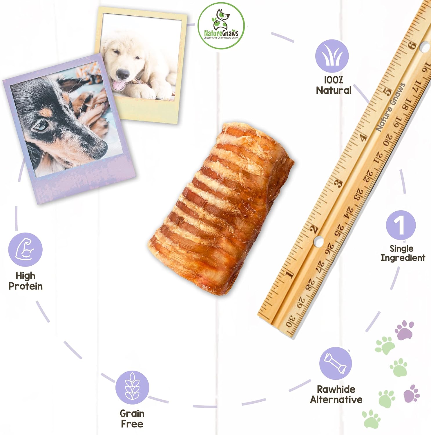 Nature Gnaws Beef Trachea for Dogs - Premium Natural Beef Bones - Simple Single Ingredient Crunchy Dog Chew Treats - Rawhide Free 12 Count (Pack of 1)