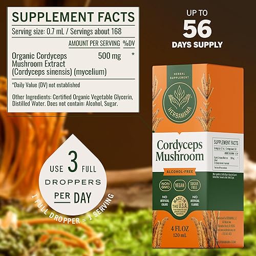 Miniatura 3 de HERBAMAMA Cordyceps Sinensis Tintura - Apoyo inmunológico vegano y defensa con gotas de extracto de hongos Cordyceps - Suplemento de inmunidad