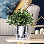 Winlyn 3-Pack Artificial Potted Plants - Faux Eucalyptus, Rosemary, Boxwood Greenery in Small Black & White Geometric Concrete Pots -Desk, Table, Shelf, Windowsill Decor for Indoor Outdoor Home Office
