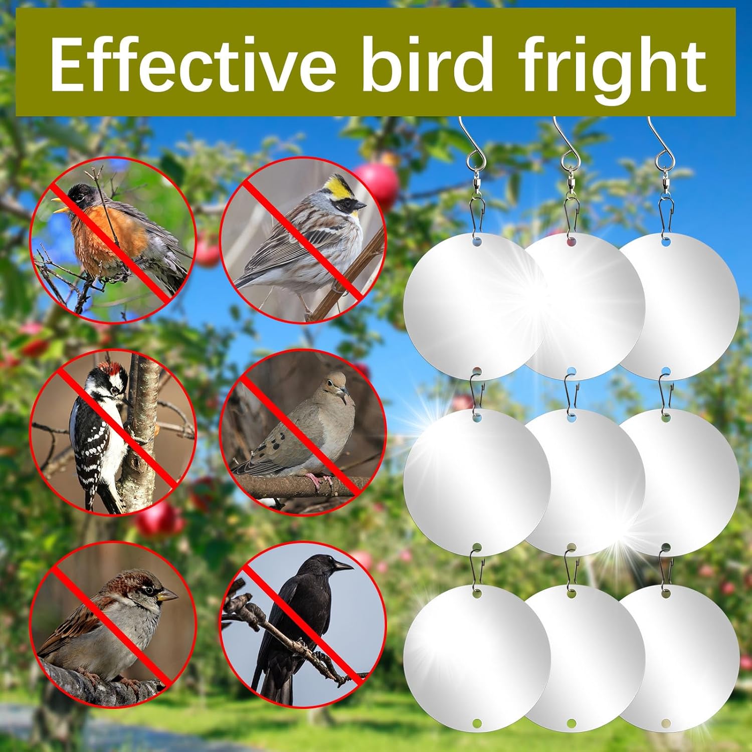 30 PCS Reflective Bird Scare Discs Set,Bird reflectors,Bird Scarer Discs Set Pigeon Deterrent,Pigeons Away from House,Bird Window Strike Prevention,Woodpecker Deterrent for House - Image 4