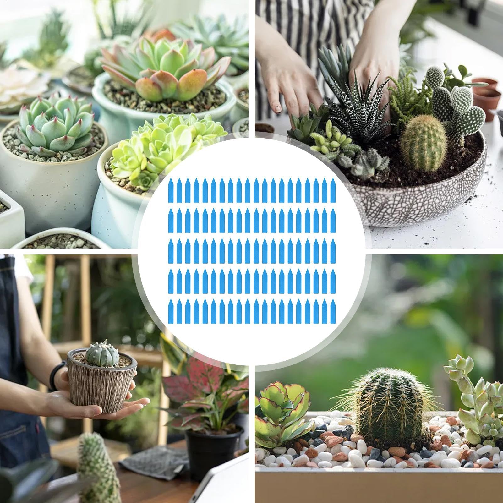 Amazon.co.jp: 園芸立型ラベル 園芸ラベル 植物タグ 植物ラベル 多肉
