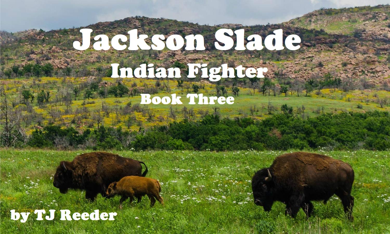 Jackson Slade, Indian Fighter, book three - Kindle edition by Reeder ...