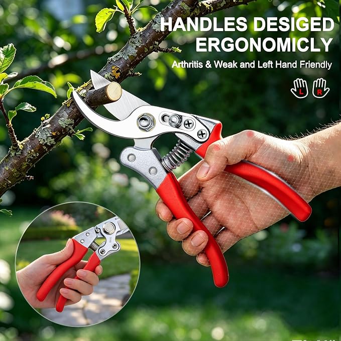 Tijeras de Poda Profesionales Kynup 8.6" Acero Inoxidable miniatura 5