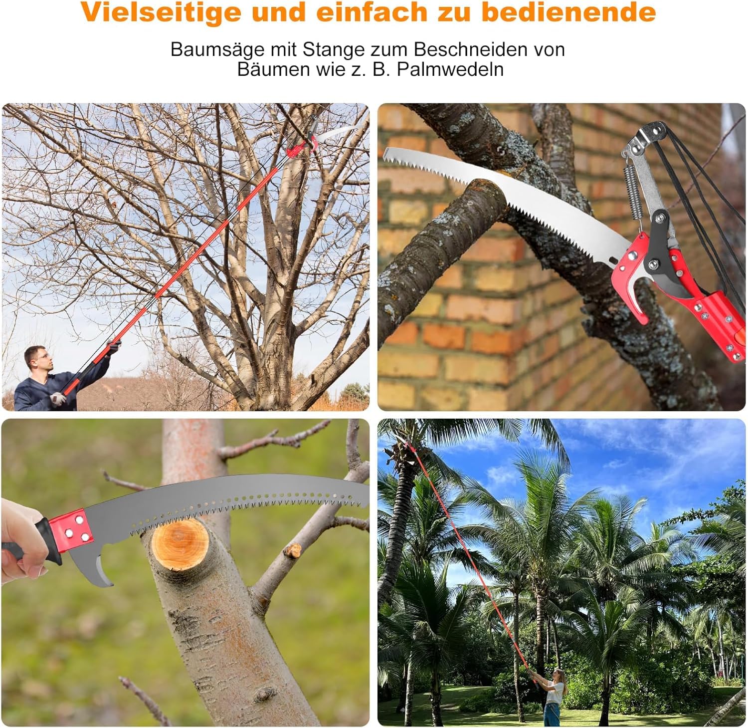 Coupe-Branches Télescopique 2-en-1 9m Perche en Fibre de Verre, Élagueur Professionnel avec Scie Acier 65Mn (∅10cm) et Sécateur à Poulie - Taille Arbres Fruitiers & Jardin