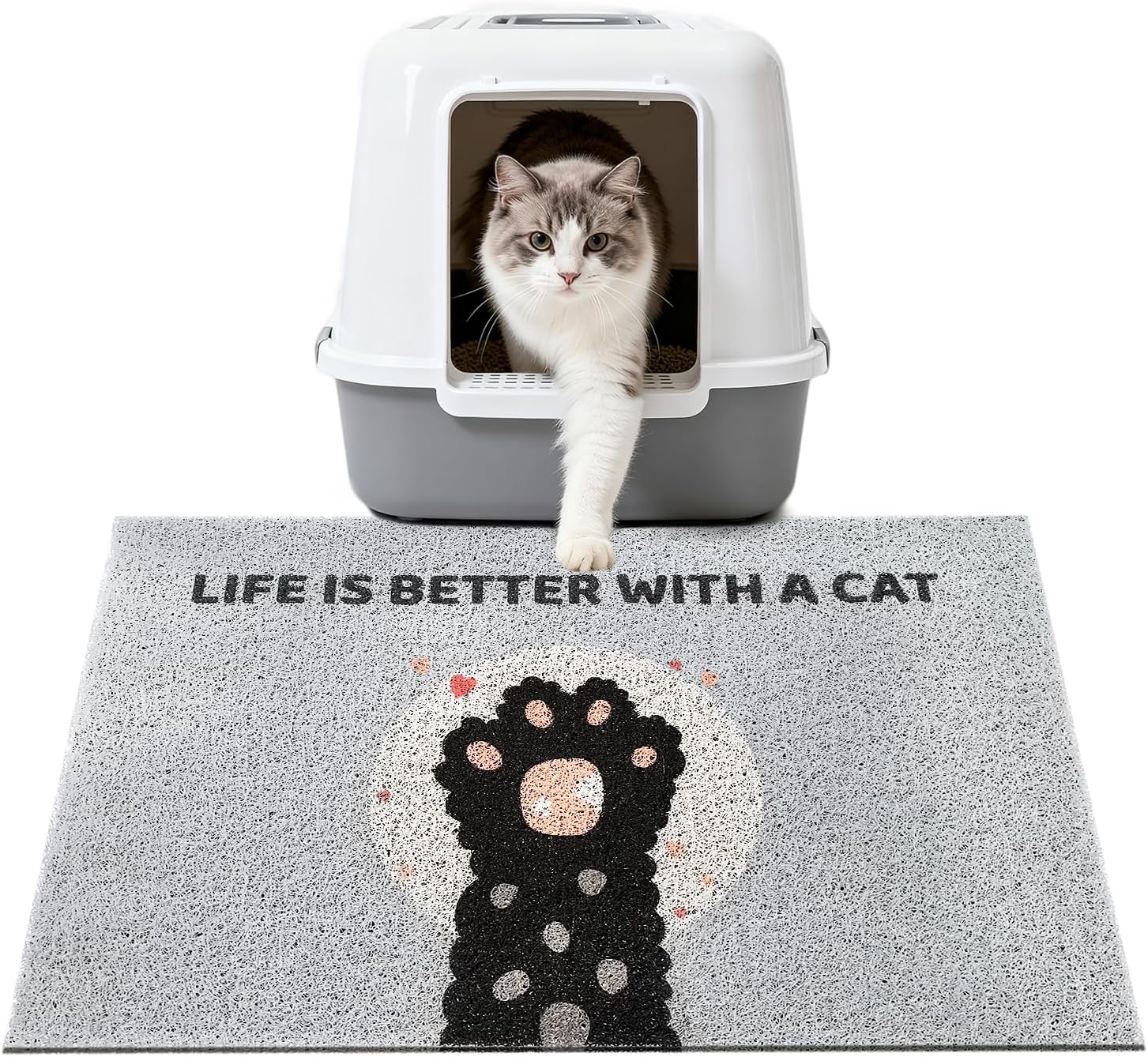 Cat Litter Mat