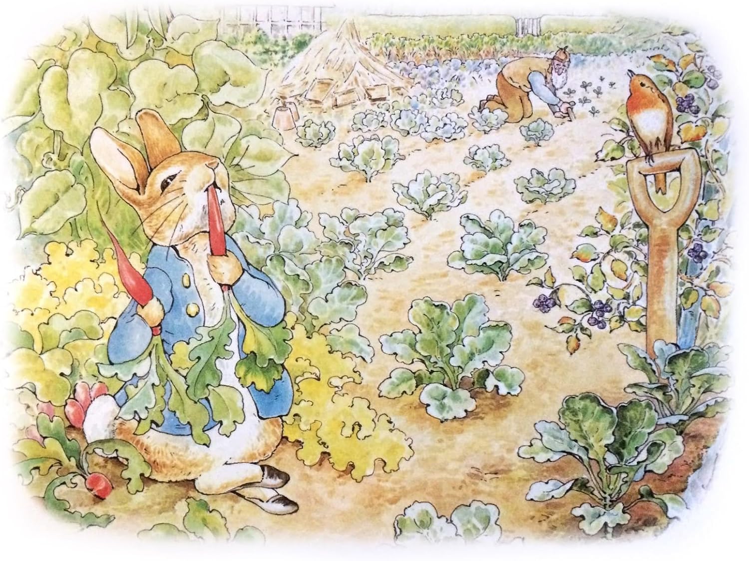 Peter Rabbit Garden Nursery Wall Art - Set of 6 Beatrix Potter Prints - 8x10 Unframed - Cute and Colorful Animal Decor