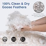 Goose Feather Oreiller Queen Taille Pack de 2 - Oreillers de lit Down Hotel pour dormir, doux 600 Fil Couvercle de coton Couchage, Support Fluffy Polyester de remplissage pour le dos, l'estomac, les couches latérales