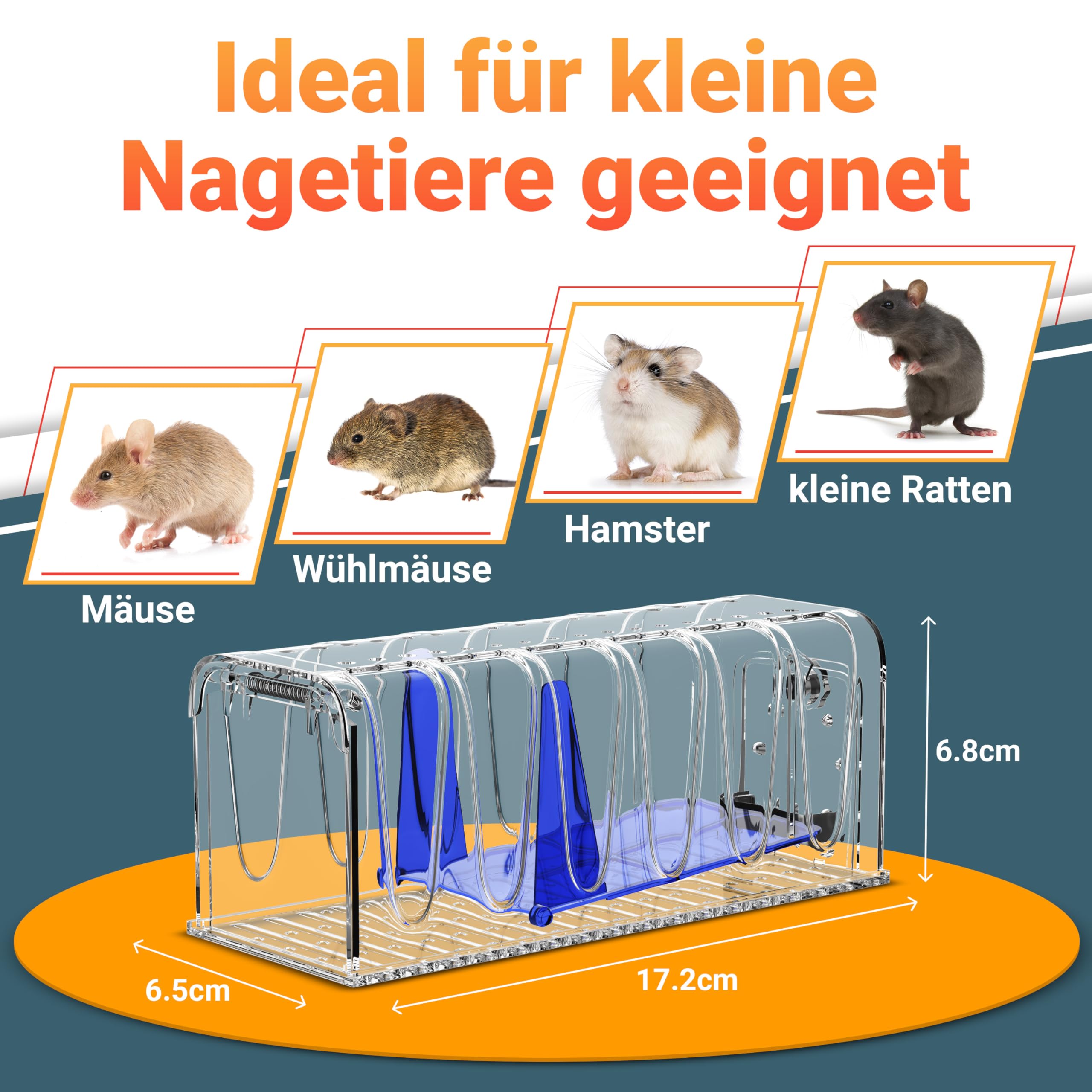 Specht Tools Lebendfalle Maus 2 Stck - Tierfreundlich