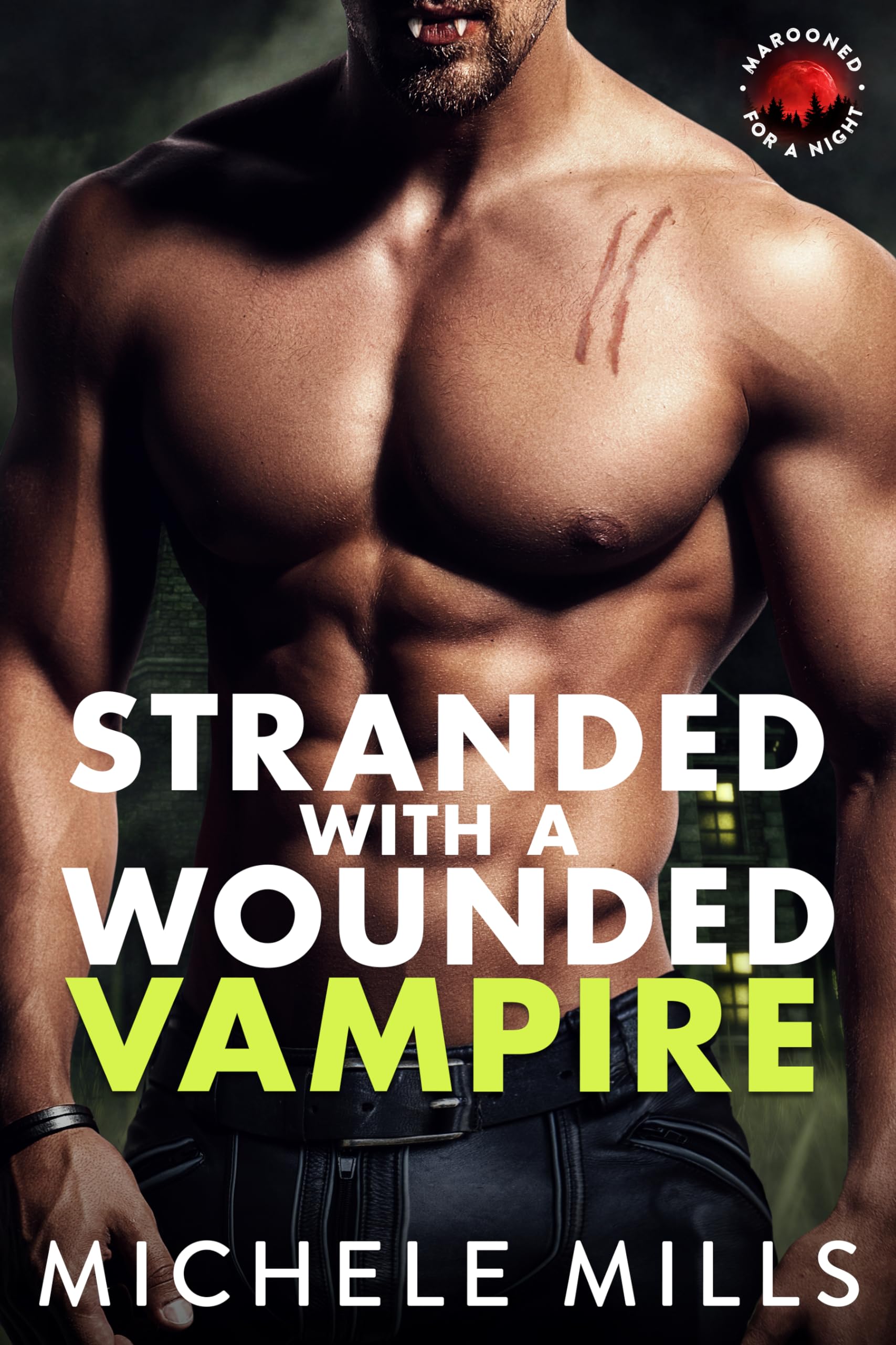 Cover of Stranded with a Wounded Vampire
