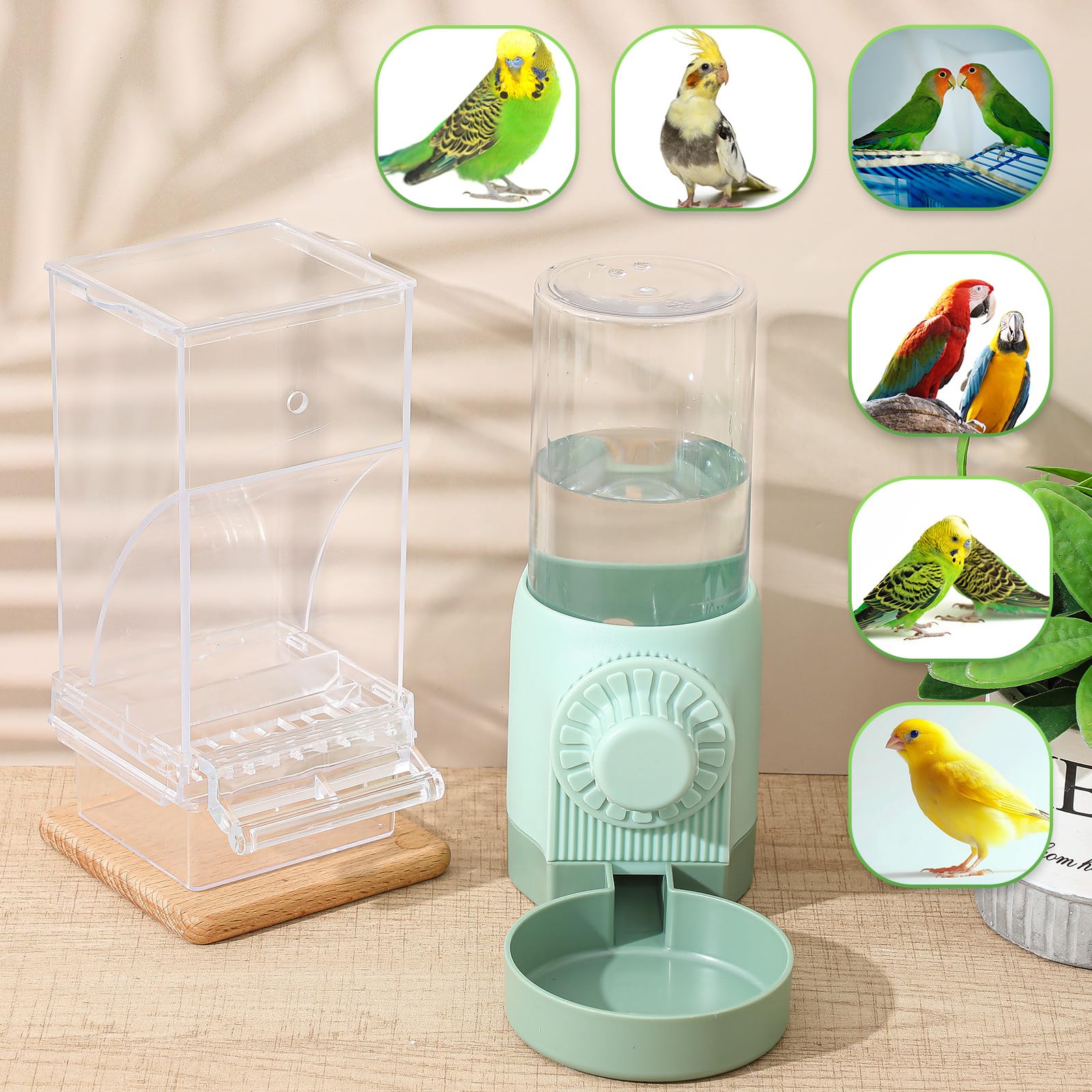 Jingmore Vogelfutterspender für Vögel, kein Durcheinander, Wasserspender-Set, automatisch, transparent, für Papageien, Acryl, bewässerter Käfig, Zubehör für Kanarienvögel, Wellensittiche, Lovebirds