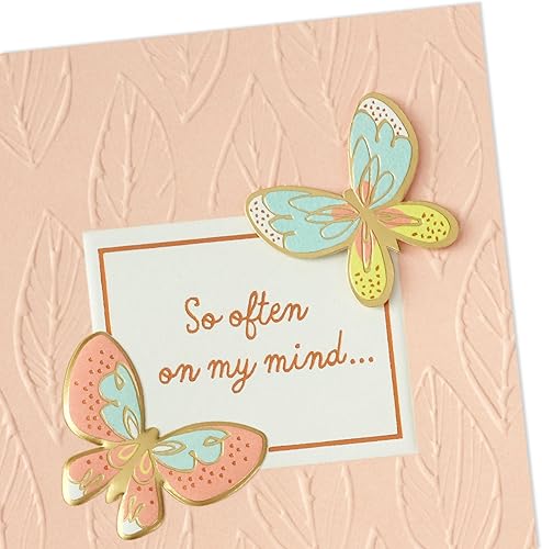 Miniatura 5 de Hallmark Elegante surtido de tarjetas para todas las ocasiones (12 tarjetas con sobres, caja organizadora de tarjetas de recarga) cumpleaños,