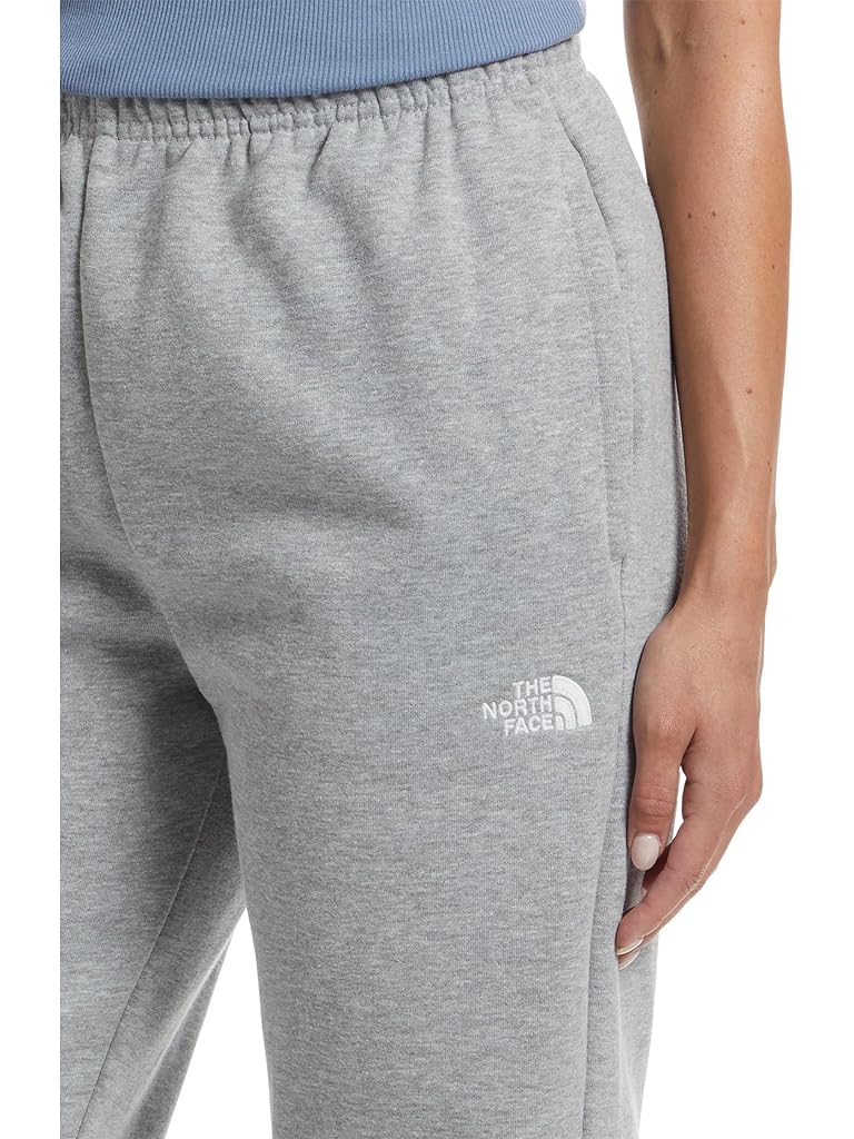 Gray The North Face Evolution Embroidered Pants