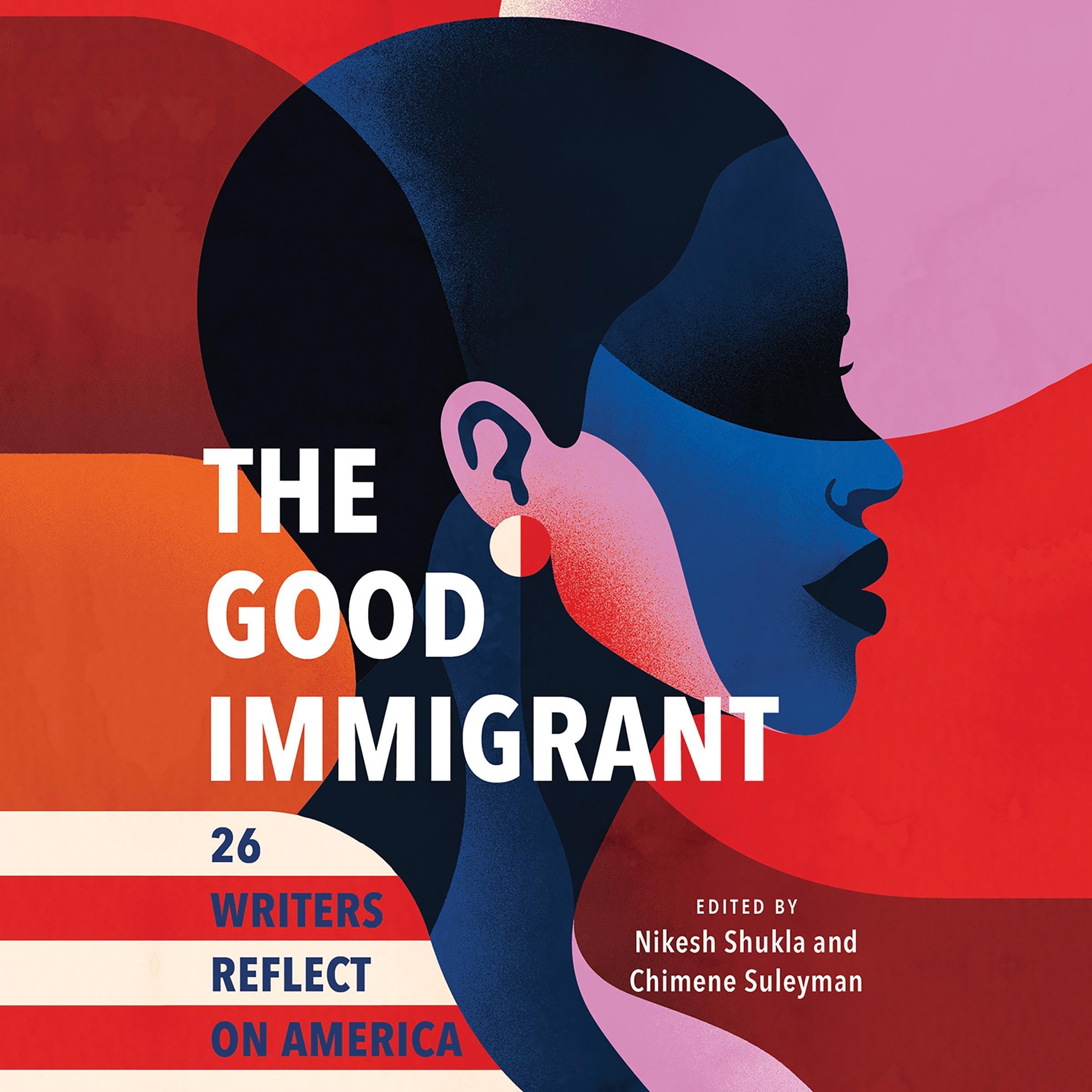 Cover art for The Good Immigrant