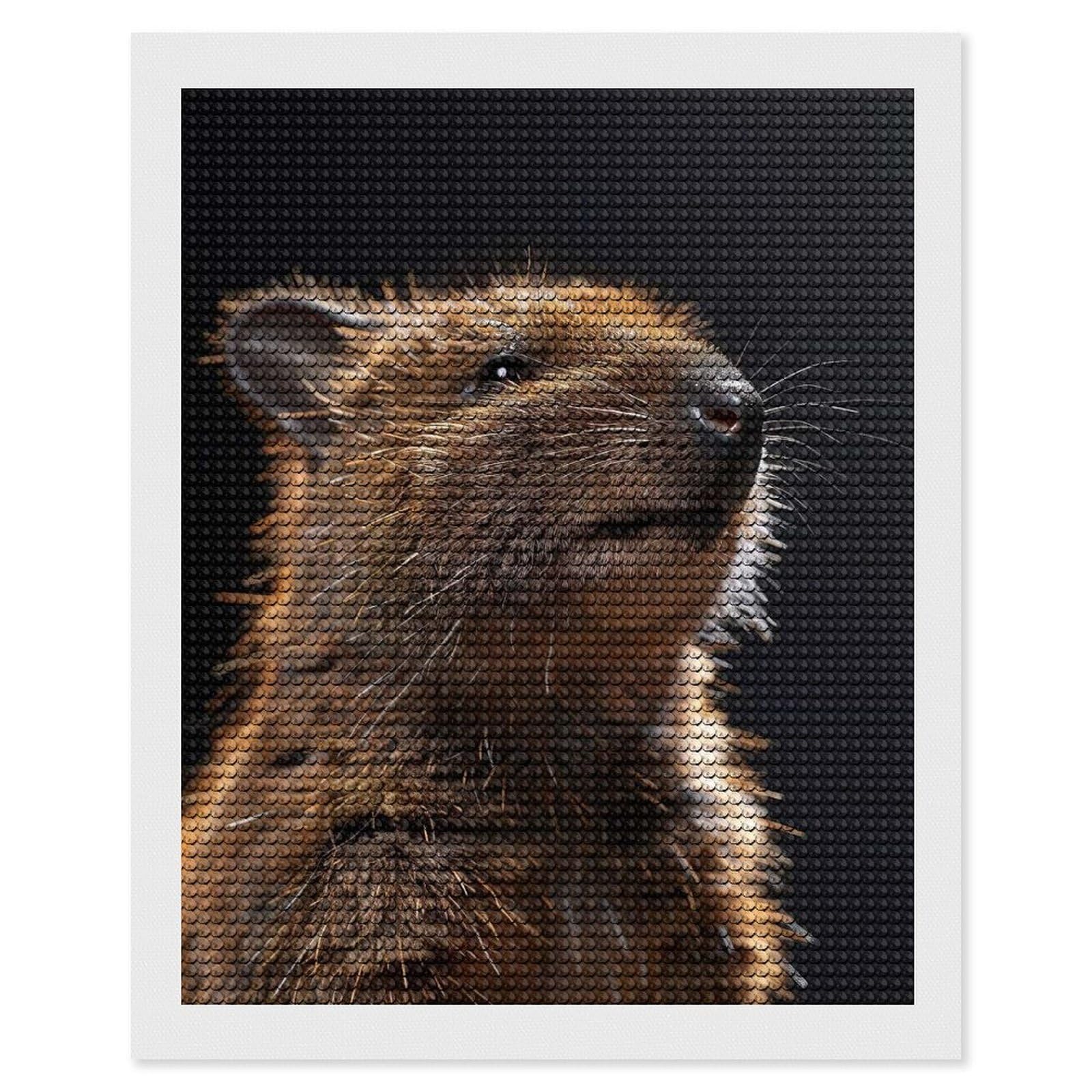 Junmoney Quokka Diamond Art Canvas 16"x20", for Adults, Pleasing Wall Art Project, Modern Decor, Gift Idea, Nice Detail and Sparkle