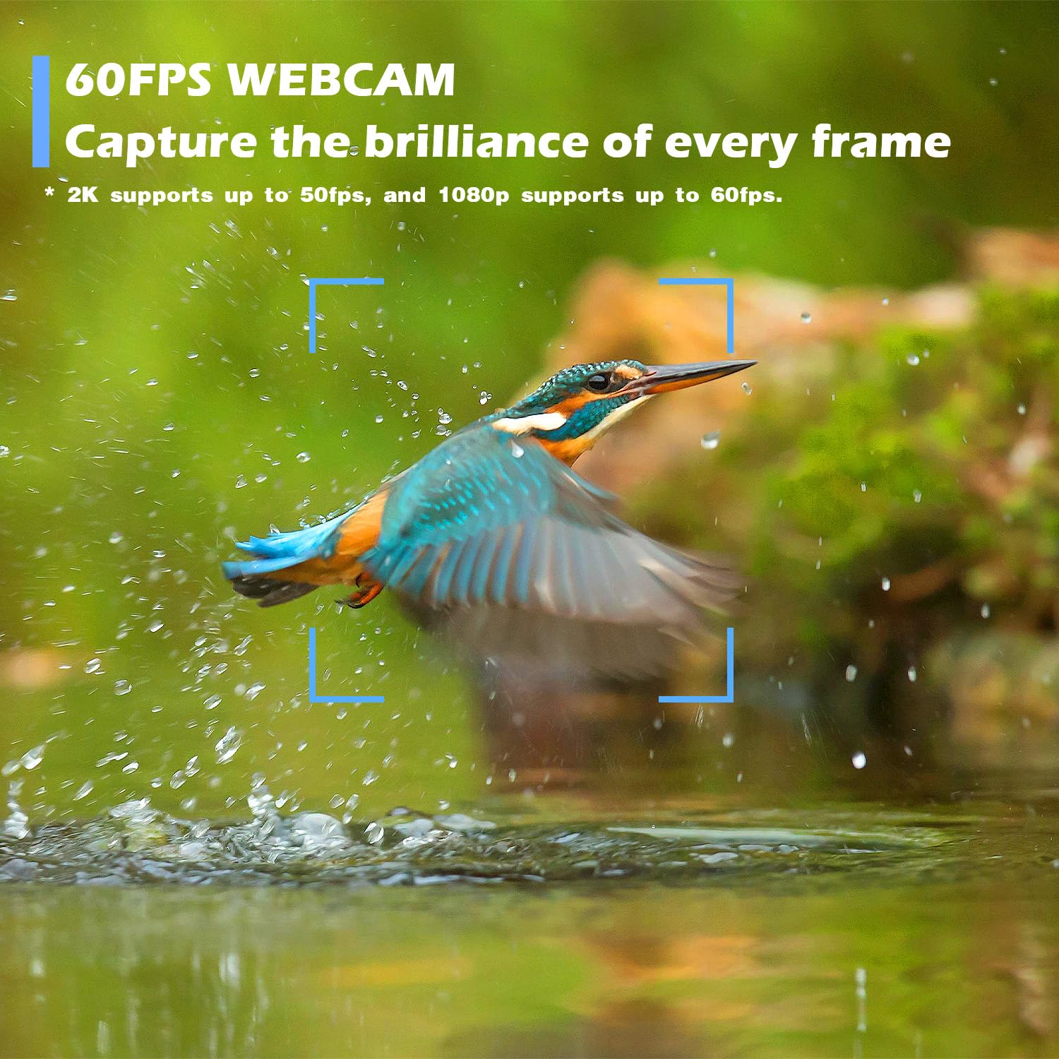 Cámara web W4 de enfoque automático con micrófonos duales y luz LED, 1080P 60 fps/2K 50 fps, cámara de transmisión USB para PC, portátil, Switch 2, escritorio, Plug and Play