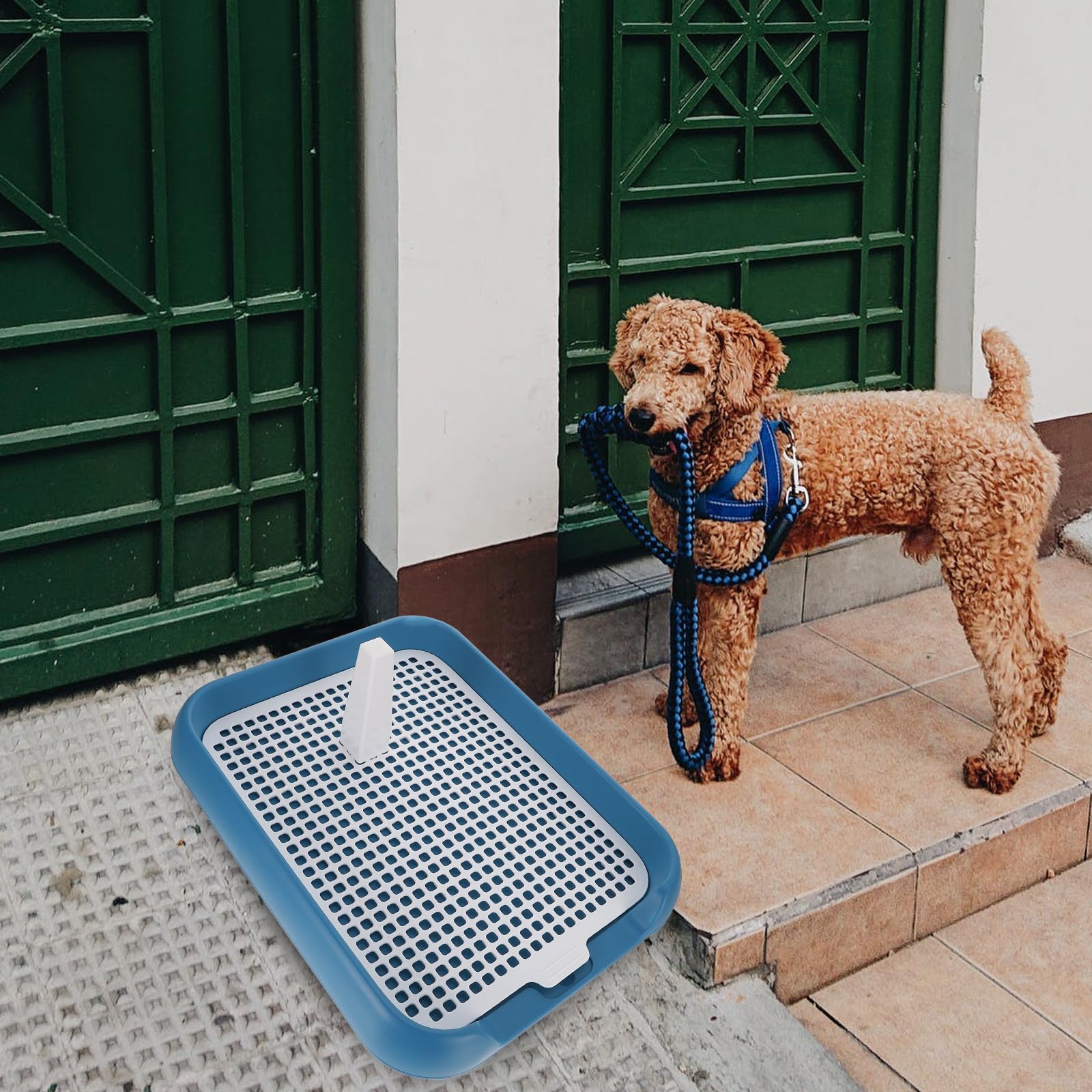OUNONA Toilette per Cani Cuccioli da Interno in Plastica Pp Antiscivolo Facile da Pulire per Addestramento e Igiene