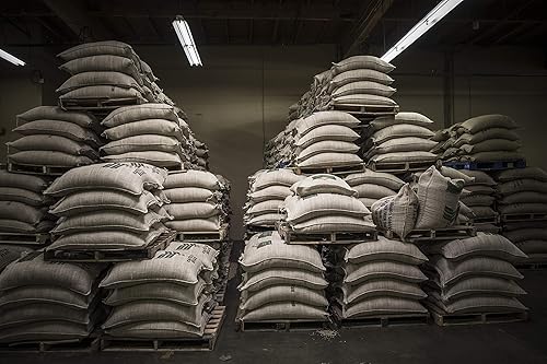 Miniatura 4 de Caffé Darte  Campania Blend Café gourmet tostado medio oscuro molido para goteo auténtico estilo italiano hecho a mano en pequeños lotes Kosher