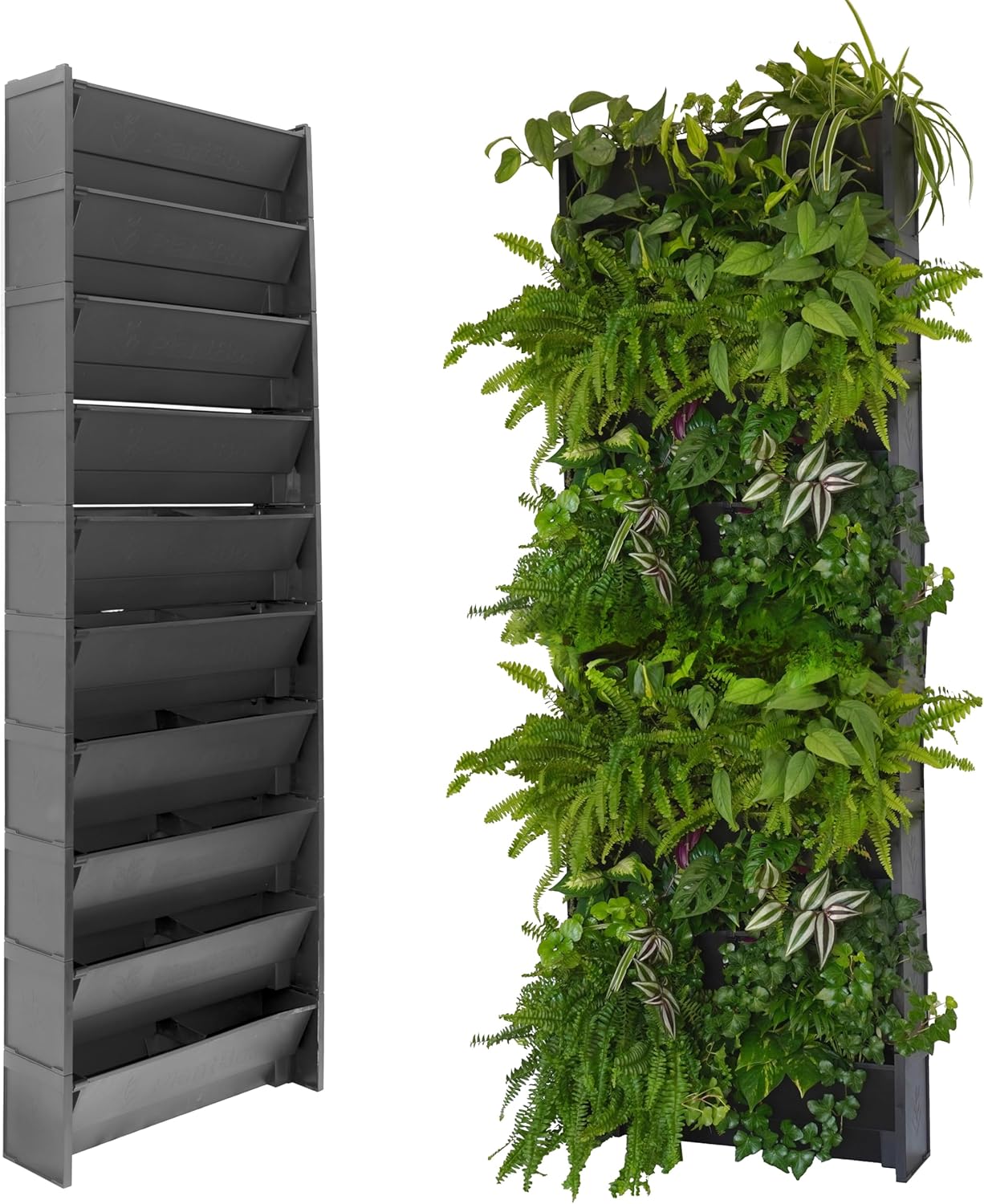  EVERTIA Jardín Vertical, Macetas para Jardines Verticales Naturales.