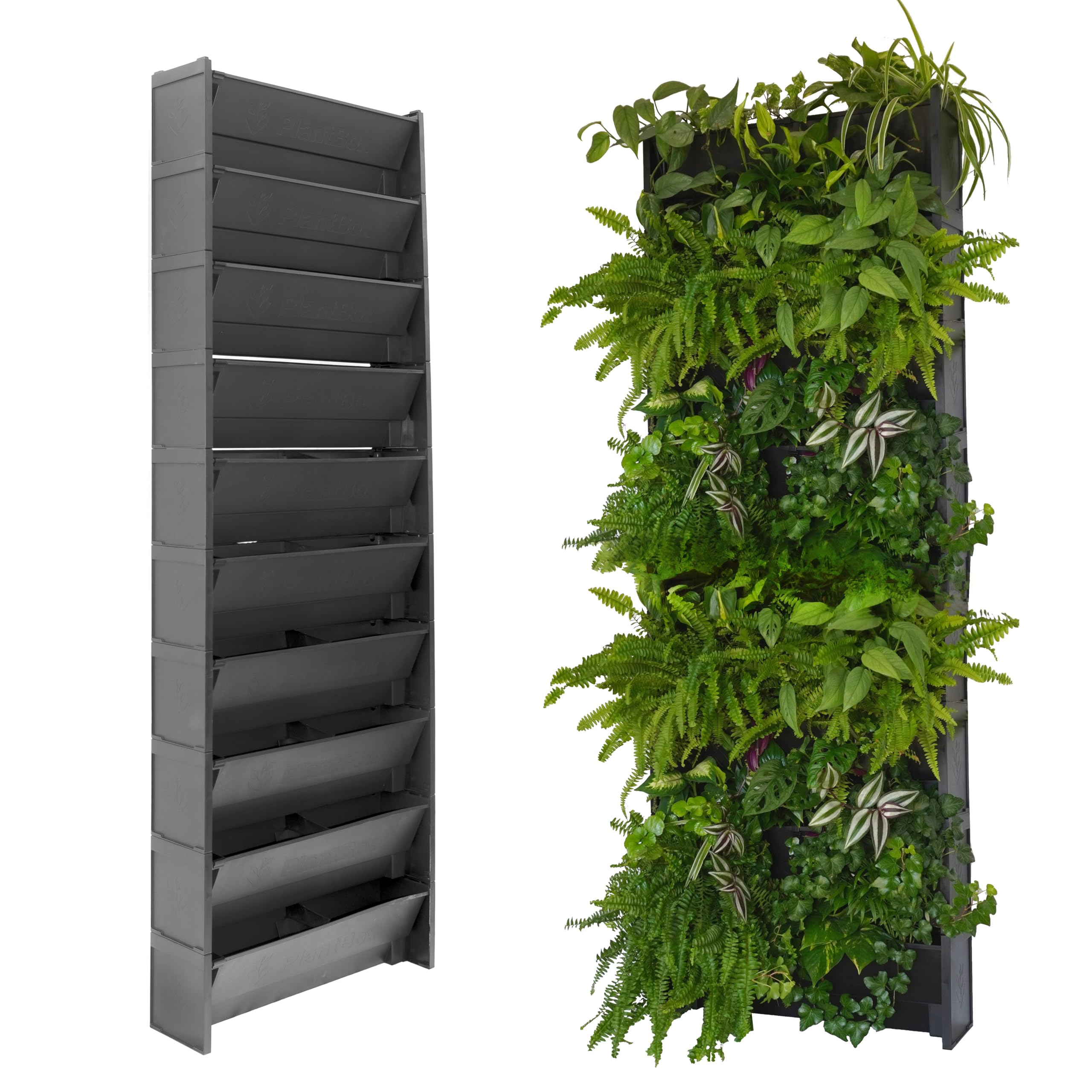 EVERTIA Jardín Vertical, Macetas para Jardines Verticales Naturales en Exterior o Interior, Huerto Urbano Vertical, Sistema Modular con Autorriego (10 Macetas)