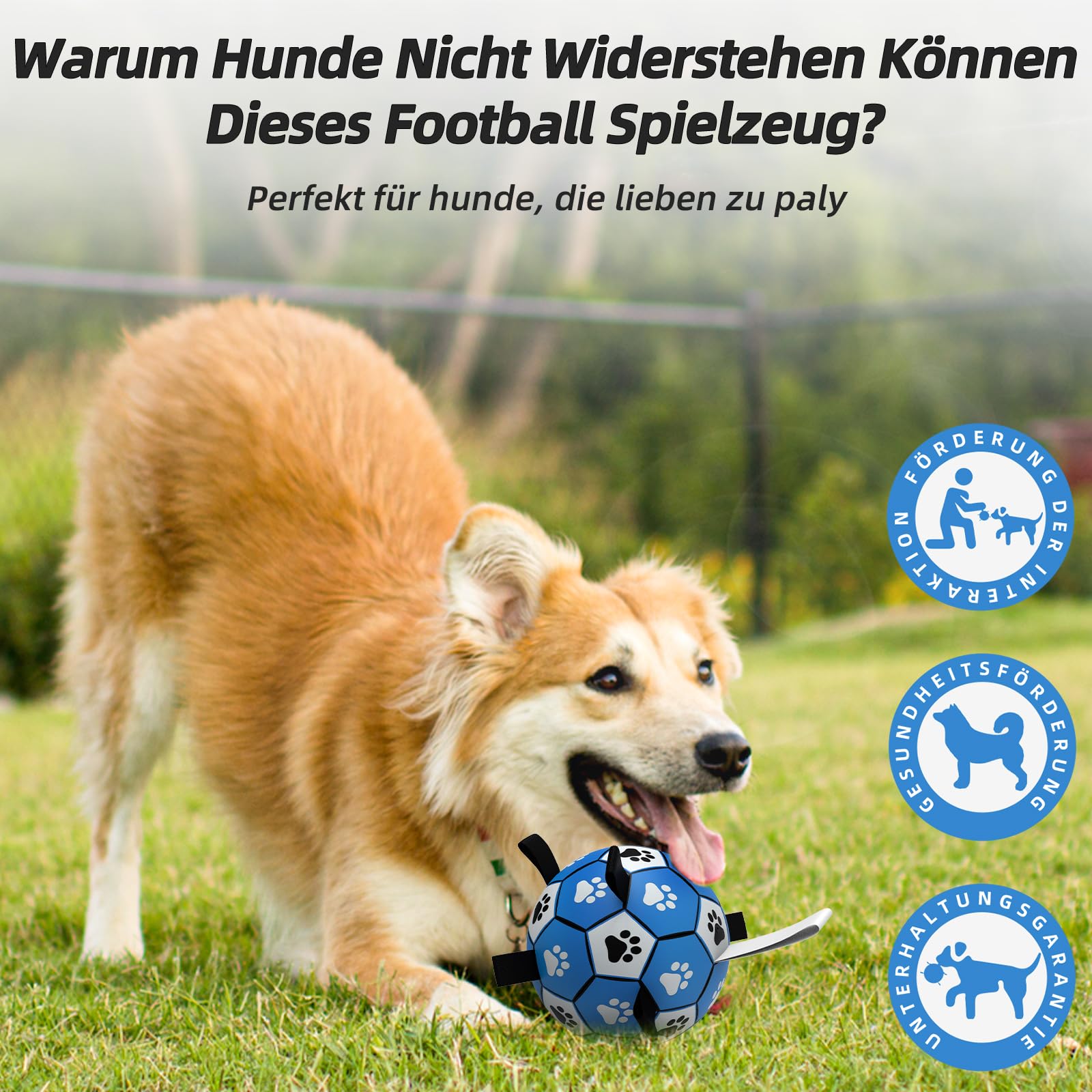 HETOO Pelota de juguete para perros con asa para perros, remolque interactivo de guerra, pelotas de agua, juguetes de regalo de cumpleaños para perros medianos/grandes (8 pulgadas, azul gris)