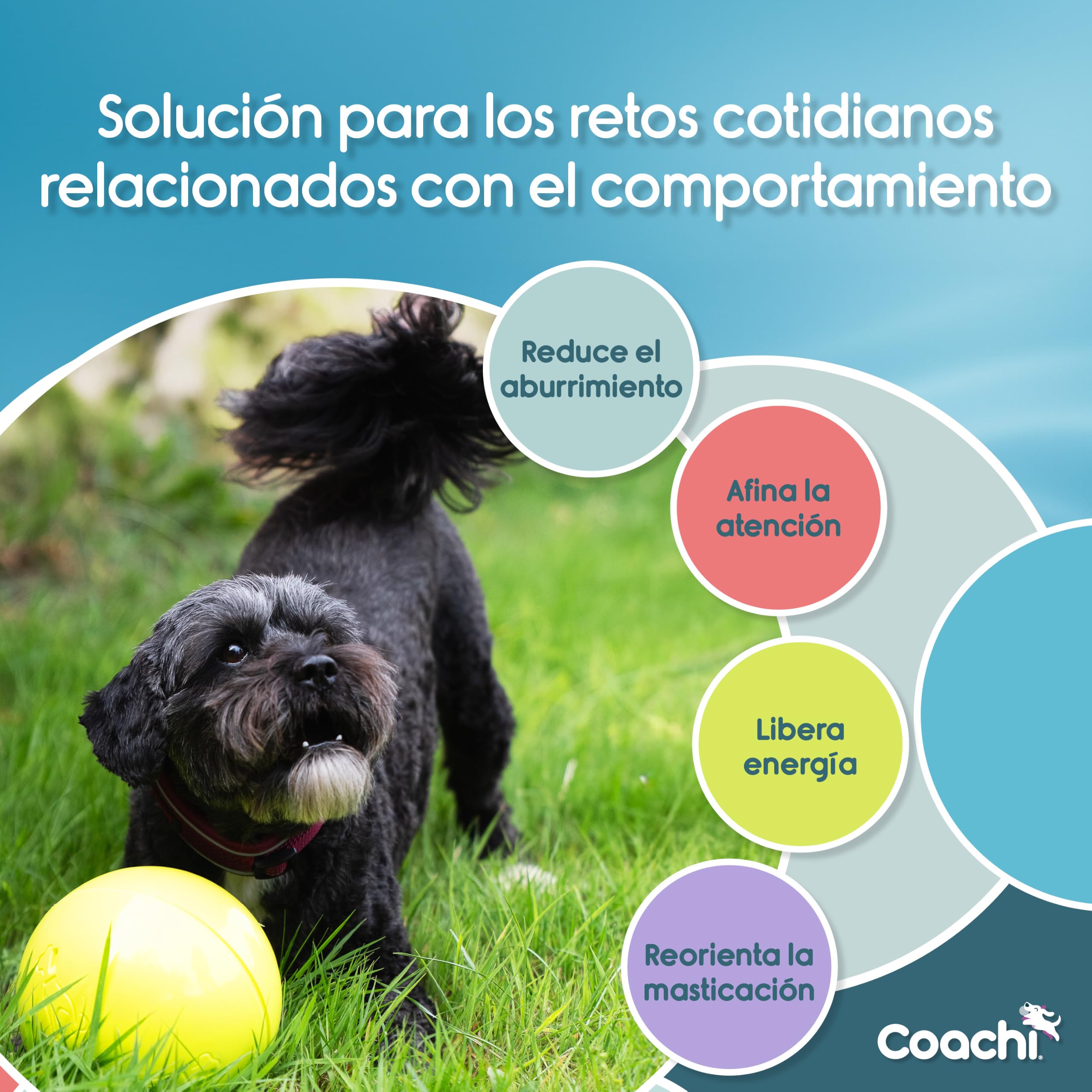 Coachi Pelota para Perros Boomi Ball | Tamaño 250mm | Cal Electrica