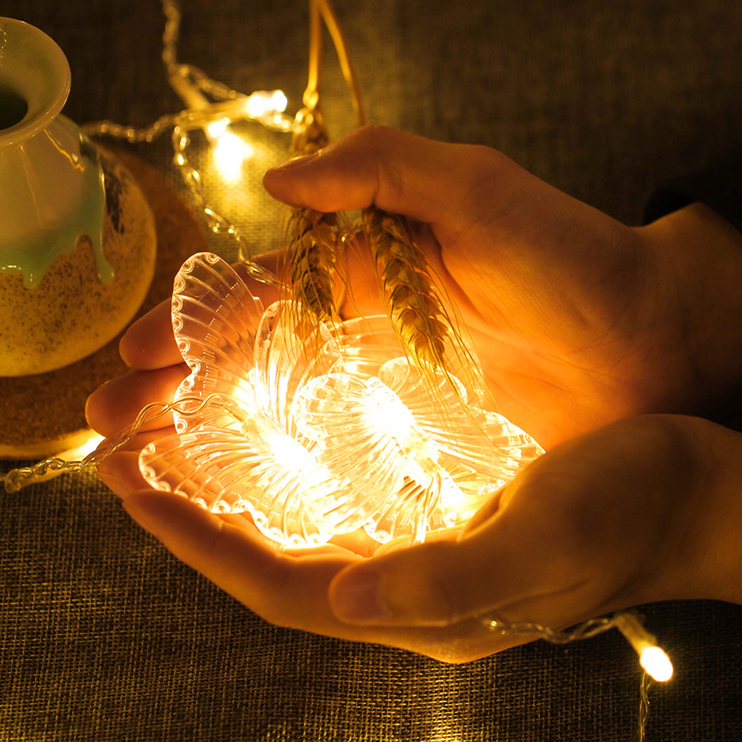 LEDVorhangLichter, 48 LEDs, USBbetrieben, 8 Modi, wasserdicht, für Fenster, funkelnde Lichterketten mit 10 Schmetterlingen mit Fernbedienung, für Weihnachten, Urlaub, Party,