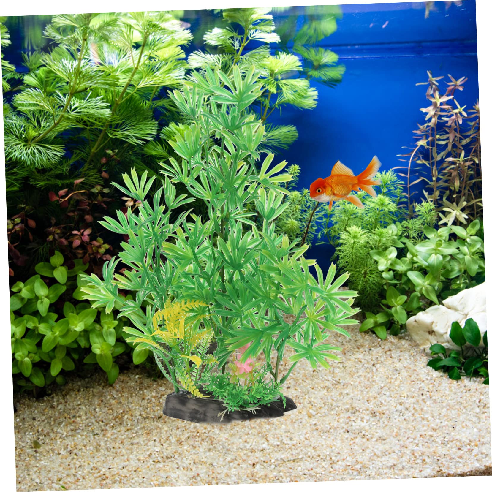 Sosoport 5 Sätze Aquarienlandschaft Wasserpflanzen Süßwasseraquarium Gefälschte Pflanzen Pflanzenaufhänger Drinnen Kleine Aquarienpflanzen Künstliche Aquarienpflanzen Plastik 2 Stück * 5